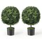Set of 2 Green Decorative Ball Tree Faux Plant with Heavy Cement Base for Office Balcony Porch